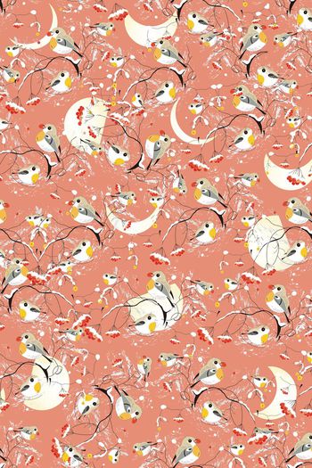 521942-清新 可爱 小鸟 花卉雪景  儿童