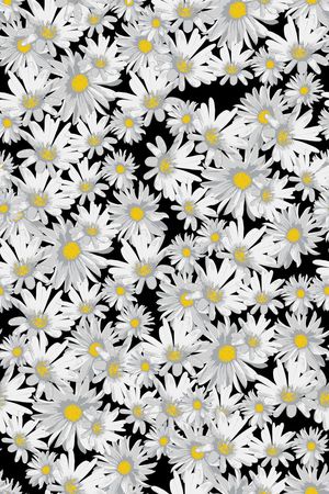 欧美印花华亿平台图片