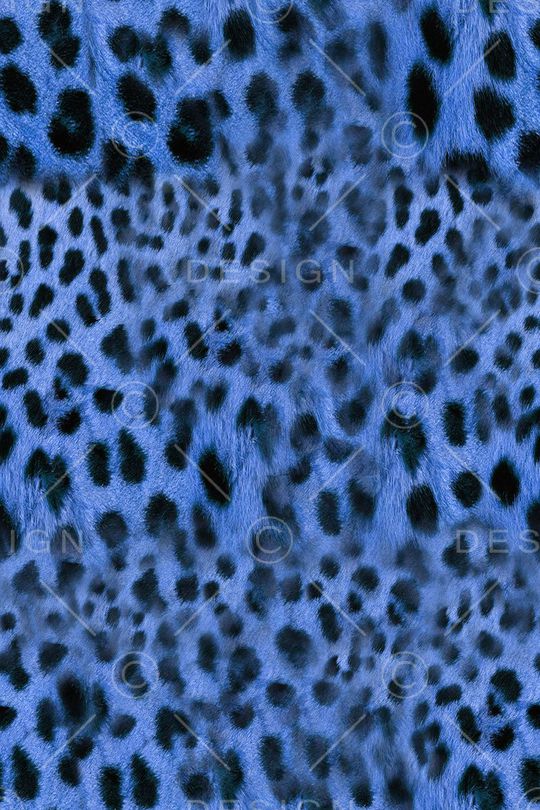 豹纹印花华亿平台图片