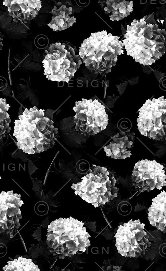 矢量图印花华亿平台图片