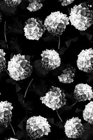 矢量图印花华亿平台图片