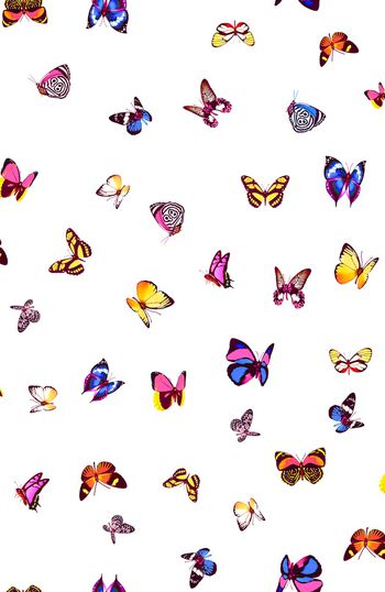 女装印花华亿平台图片