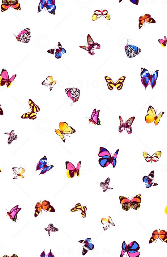 女装印花华亿平台图片