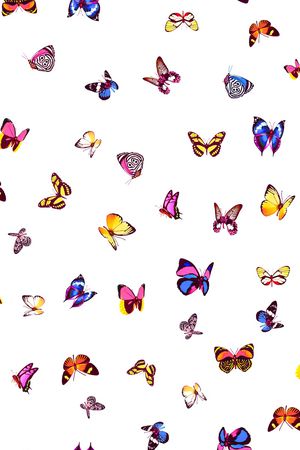 女装印花华亿平台图片