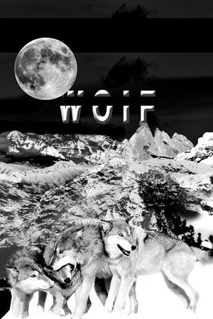 T恤卫衣数码印花印花华亿平台图片