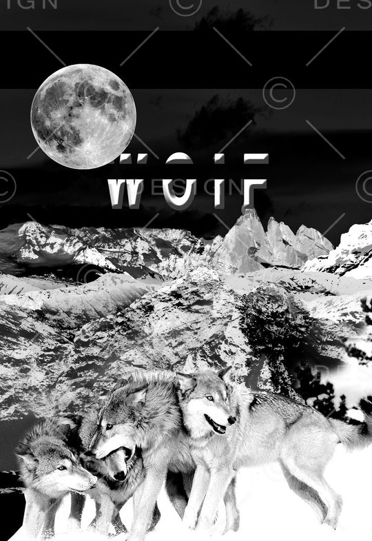 T恤卫衣数码印花印花华亿平台图片