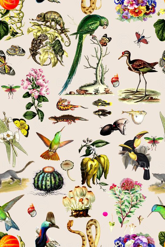 时尚印花华亿平台图片