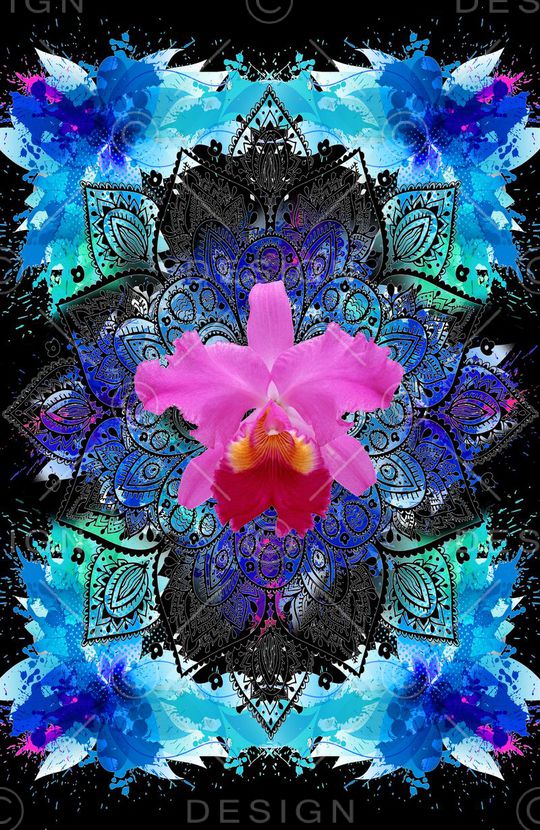 流行时尚潮品印花华亿平台图片