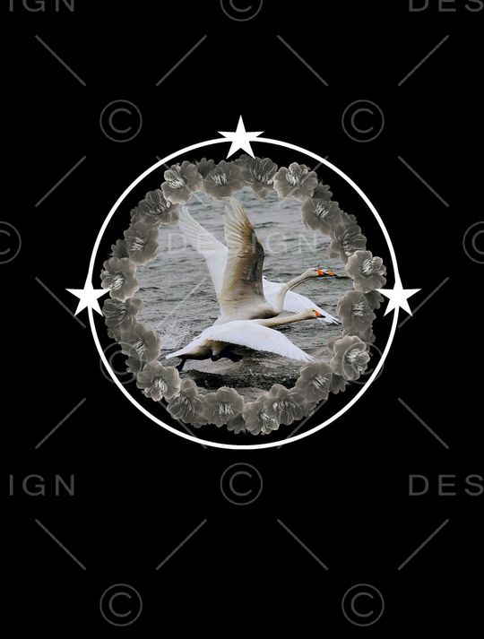 数码印花印花华亿平台图片