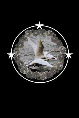 数码印花印花华亿平台图片