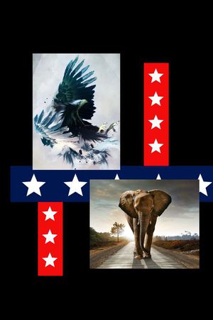 数码印花印花华亿平台图片