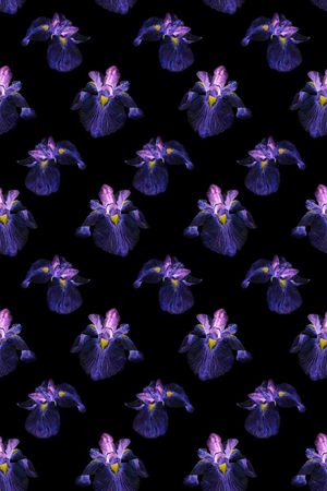 半身裙印花华亿平台图片