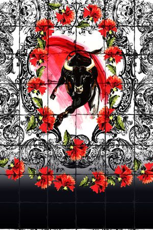 西班牙斗牛印花华亿平台图片