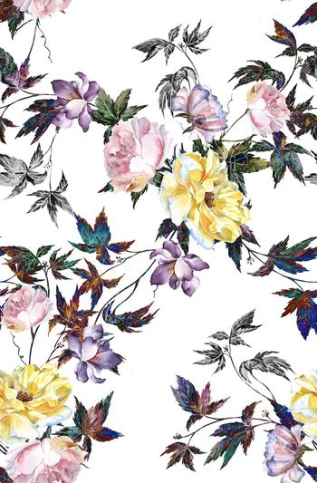 522786-花卉    枝叶    散射