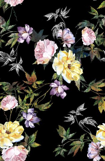 522787-花卉    枝叶    散射