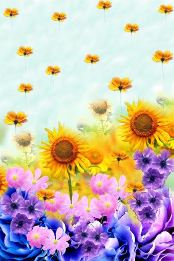 522805-百花齐放  菊花 