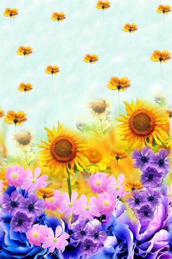 522810-百花齐放  菊花 