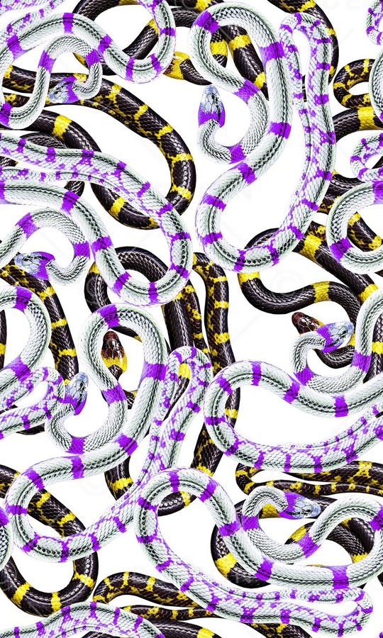 蛇印花华亿平台图片