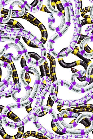 蛇印花华亿平台图片