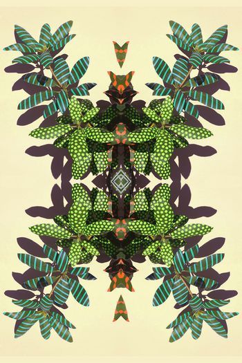 对称印花华亿平台图片