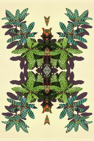 对称印花华亿平台图片