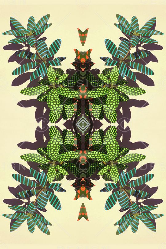 对称印花华亿平台图片