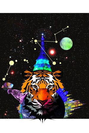 时尚印花华亿平台图片