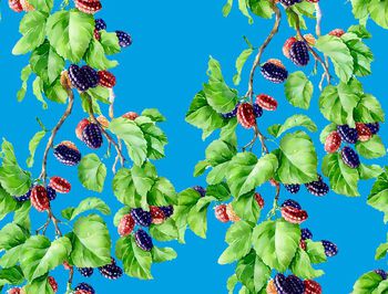 523131-中国风  绿叶 桑子  