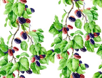 523132-原创 绿叶 桑子  