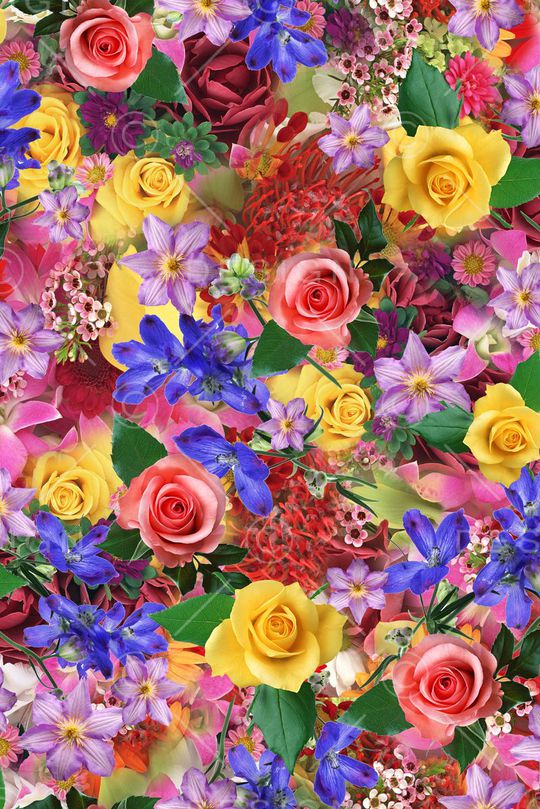 写实 花卉 组合印花华亿平台图片