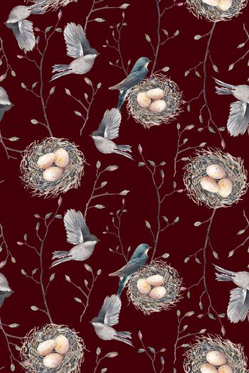 523352-文艺范儿  树枝  花苞  鸟巢 