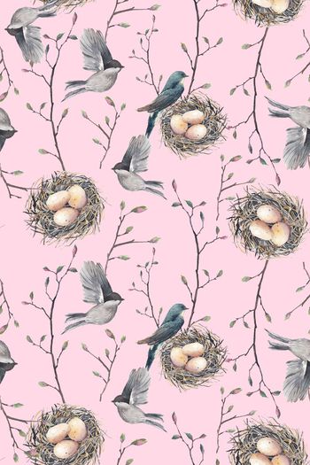 523354-文艺范儿  树枝  花苞  鸟巢 