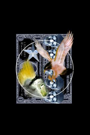 T恤卫衣数码印花印花华亿平台图片