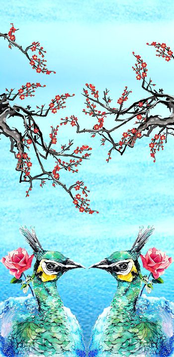 523452-天鹅 梅花  湖底 花卉