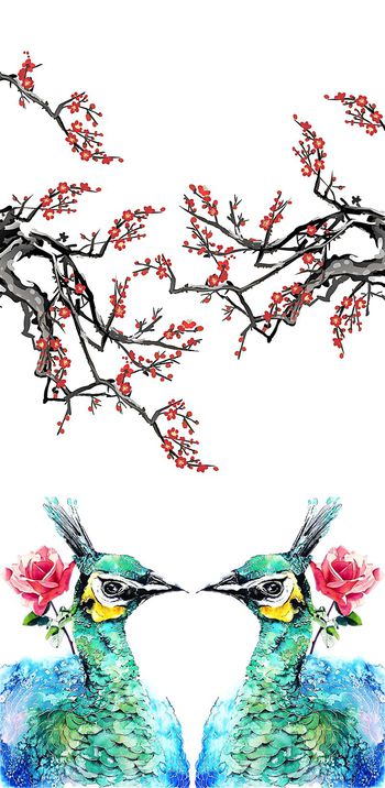 523457-天鹅 梅花  湖底