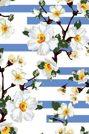 条纹印花华亿平台图片