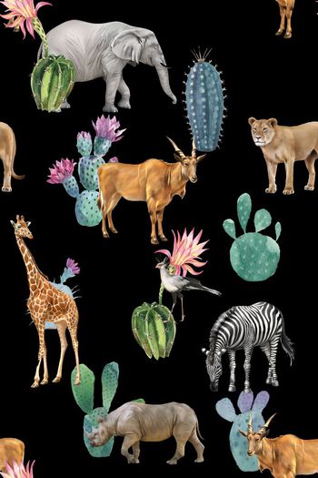 523627-动物    仙人掌  花卉 