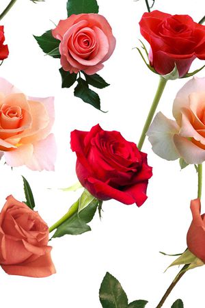 欧美印花华亿平台图片