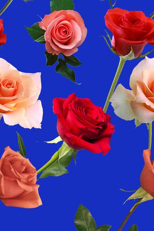 欧美印花华亿平台图片