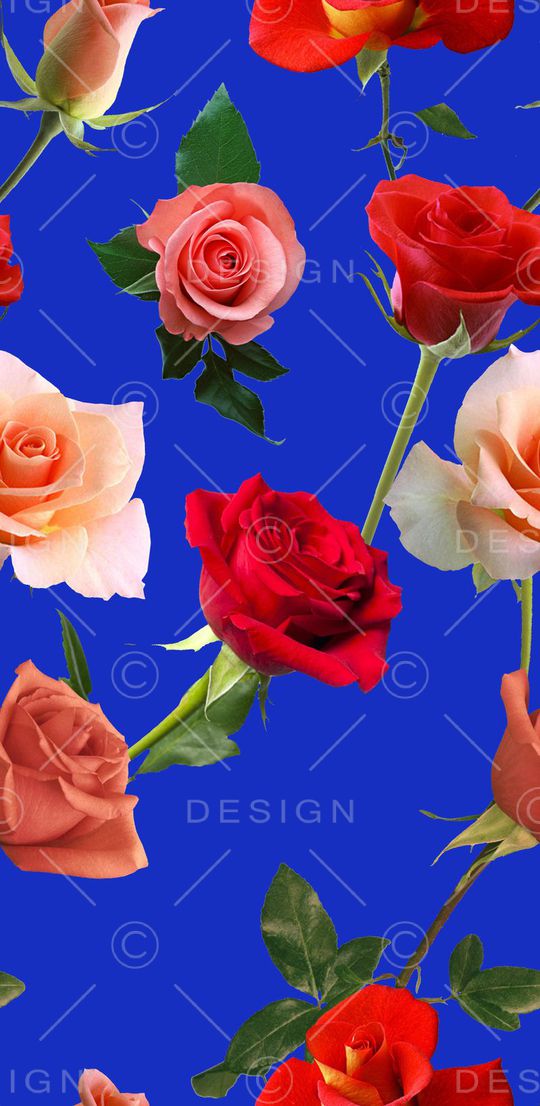 欧美印花华亿平台图片