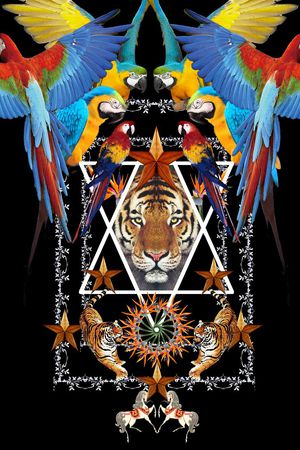 T恤卫衣数码印花印花华亿平台图片