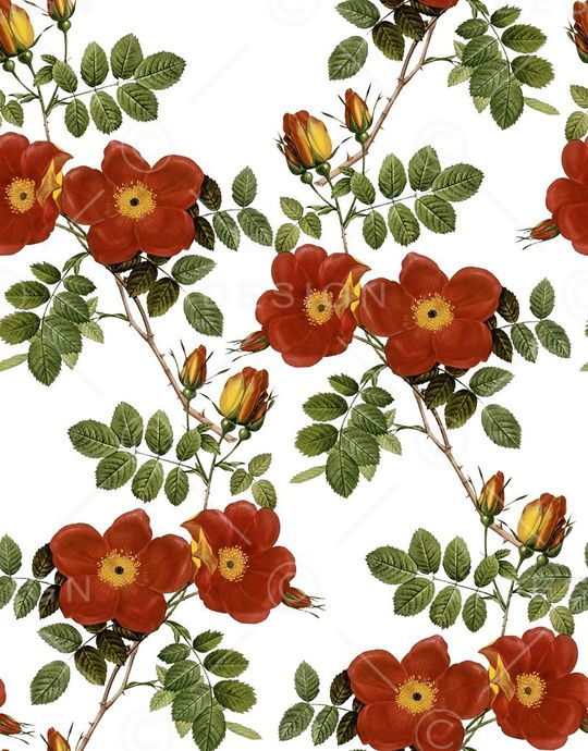 欧美印花华亿平台图片