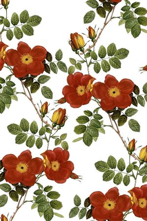 欧美印花华亿平台图片