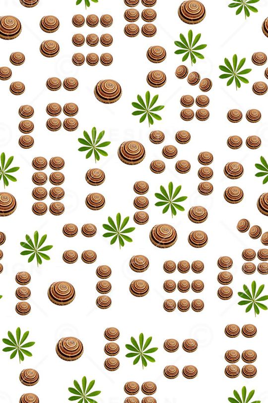 贝壳印花华亿平台图片