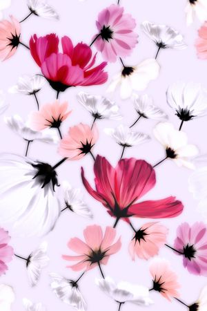 波斯菊印花华亿平台图片