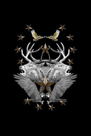 T恤卫衣数码印花印花华亿平台图片