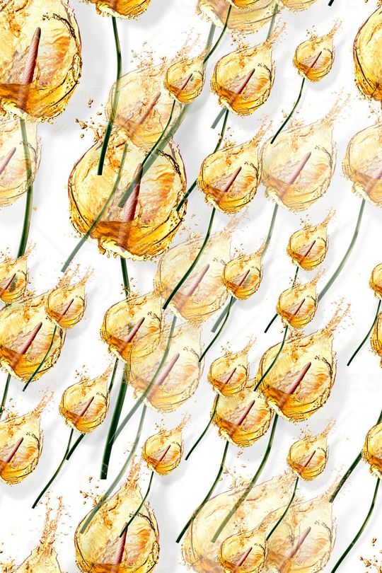 休闲印花华亿平台图片