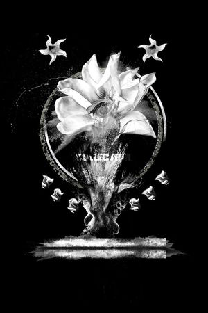 时尚印花华亿平台图片