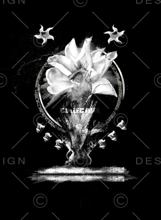 时尚印花华亿平台图片