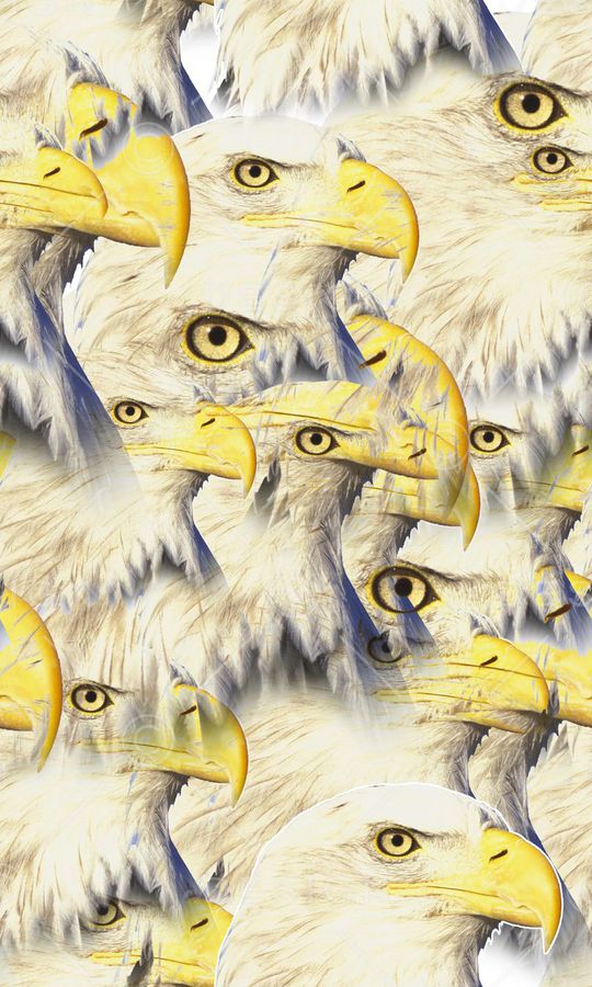 简约时尚印花华亿平台图片